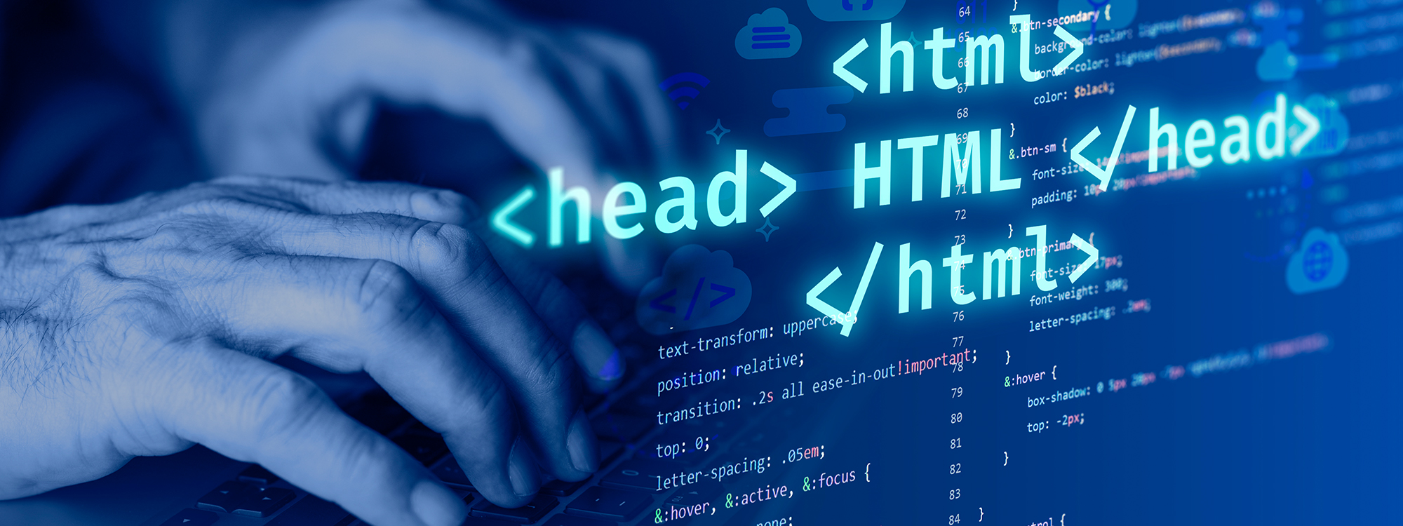 Custom Software Development